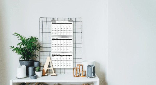 3-Month View Wall Calendar, Minimalist, 2023 - 2024 - StriveZen